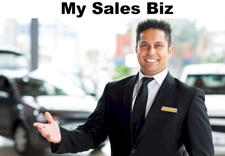 MysalesBiz-pic1